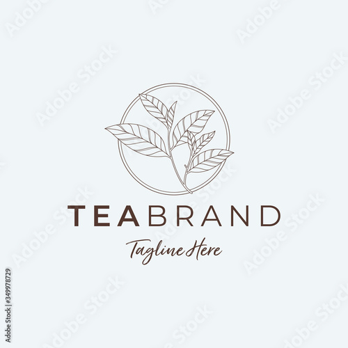 MINIMALIST TEA LEAF LOGO ILLUSTRATIONS
