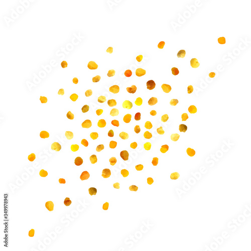 Bee Pollen, Perga, Flower Pollen Grains or Bee Bread