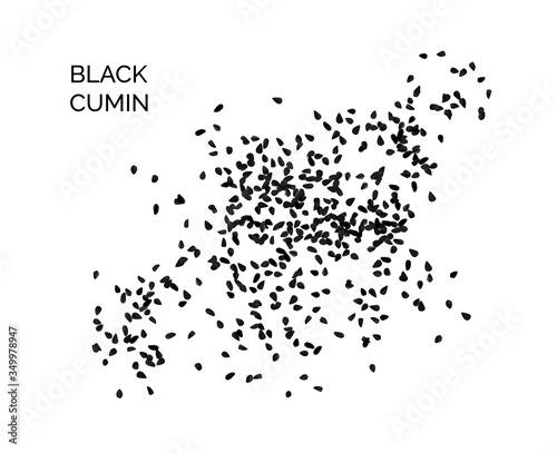 Black Cumin, Nigella Sativa or Black Caraway Seeds