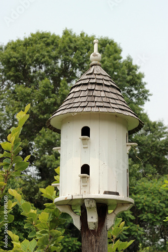 Fancy Bird House