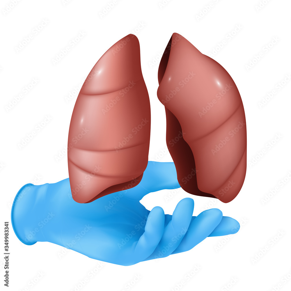 Realistic medical organ concept with a hand in a blue rubber glove holding human lungs. Vector illustration isolated on white background Realistic medical organ concept with a hand in a blue rubber glove holding human lungs. Vector illustration isolated on white background