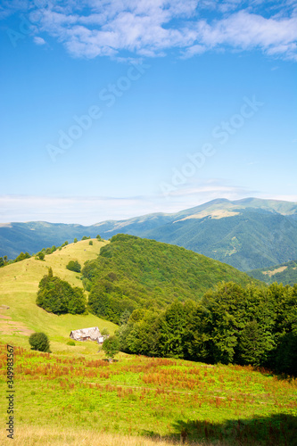 mountain landscape with green meadow on the hill. fluffy clouds on the blue sky above the distant ridge. wonderful summer weather. great views of carpathian countryside