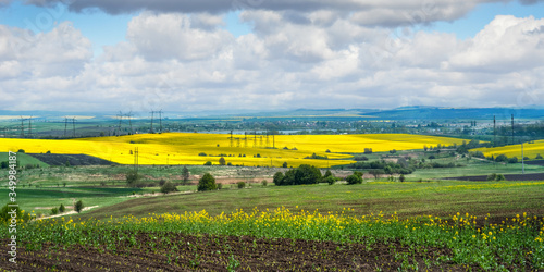 Panoramic view of yellow fields of oilseed rape and green meadows, electric p...