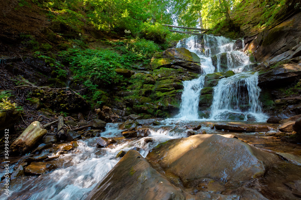 Obraz premium waterfall in the fores. rapid water of mountain river. beautiful nature background. calming summer landscape