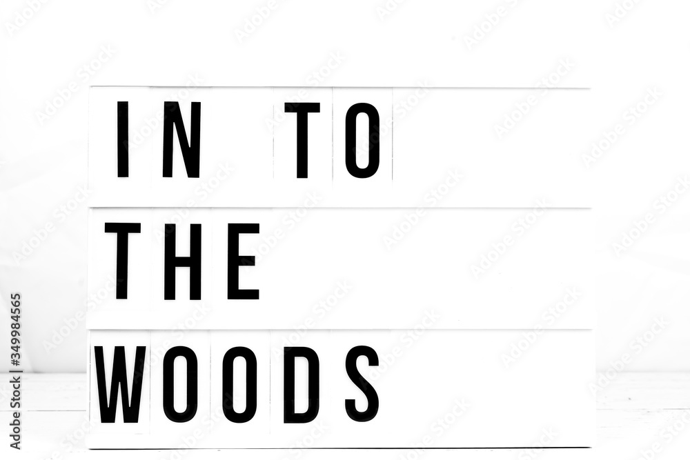 Fototapeta Modern In To The Woods Sign on Retro Quote Board.