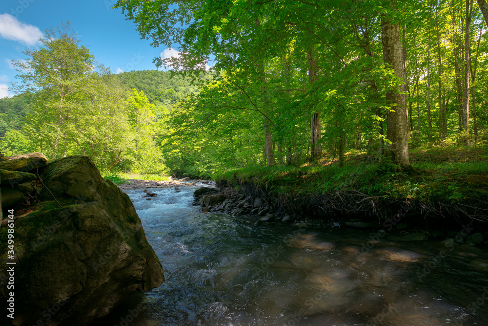 Obraz premium stream in the forest. beautiful nature background. peaceful scenery with water flow among rocks and beech trees in spring