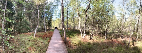 Rotes Moor Rhön photo