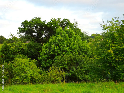 Campagne normande