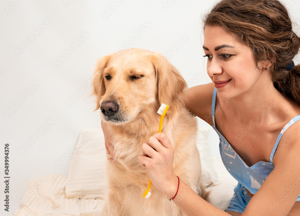 Curly young woman in pajamas getting ready brushing golden retriever