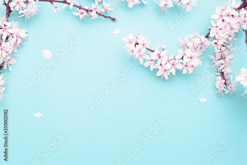 Spring background table. May flowers and April floral nature on blue. For banner, branches of blossoming cherry against background. Dreamy romantic image, landscape panorama, copy space.