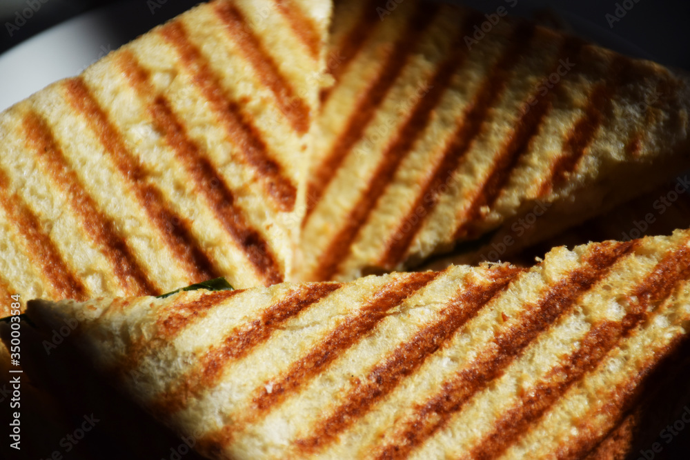 Delicious hot toasted sandwich lunch Delicious hot toasted sandwich lunch
