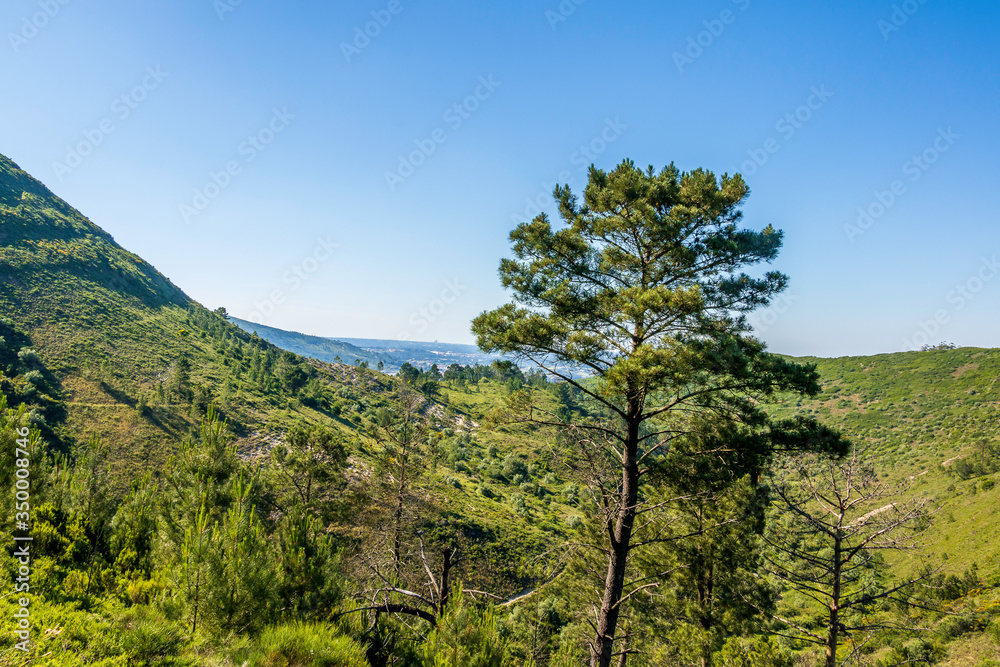 Scenic view of the mountain range of Aire and Candeeiros. Fórnea and Alvados area. Portugal Scenic view of the mountain range of Aire and Candeeiros. Fórnea and Alvados area. Portugal