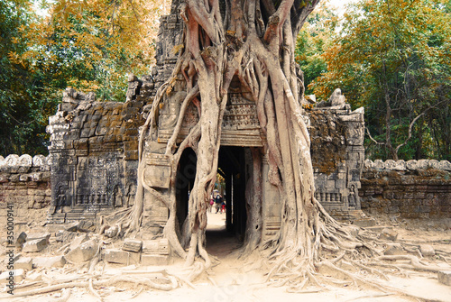 Overgrown Temple