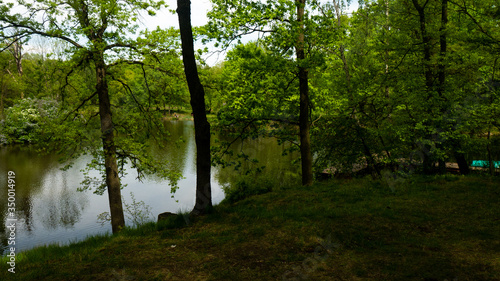 A pond surrounded by trees in the Świerklaniec park. A free entry space