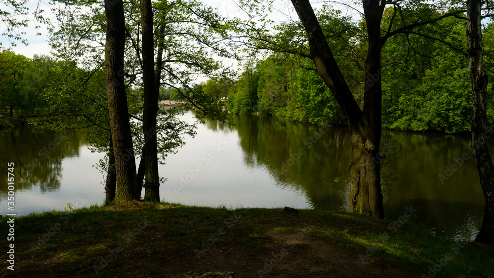 A pond surrounded by trees in the Świerklaniec park. A free entry space A pond surrounded by trees in the Świerklaniec park. A free entry space