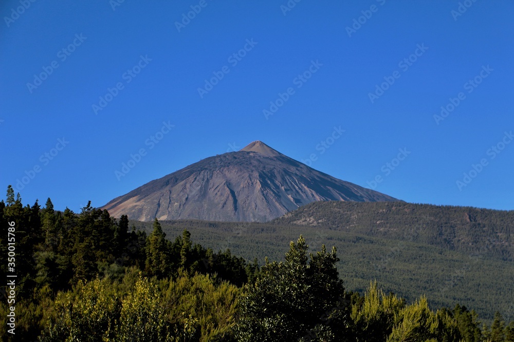View of the Mount Teide volcano above the forest taken during the ascent to the national park under a perfectly blue sky with excellent visibility making the details of the volcanic cone visible View of the Mount Teide volcano above the forest taken during the ascent to the national park under a perfectly blue sky with excellent visibility making the details of the volcanic cone visible