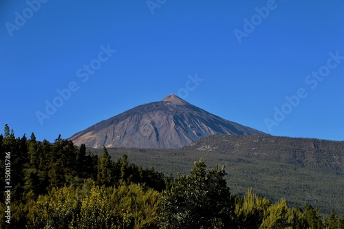 View of the Mount Teide volcano above the forest taken during the ascent to the national park under a perfectly blue sky with excellent visibility making the details of the volcanic cone visible 
