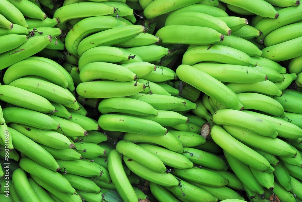 Green row banana in Thai market Green row banana in Thai market