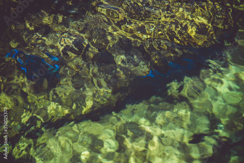 beautiful lagoon with clear water, moss rocks and green foliage in the background 