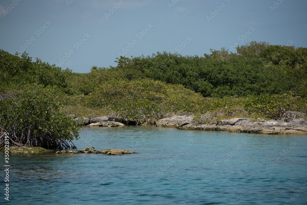 Beautiful natural view of transparent waters of turquoise blue Caribbean lagoon Yal-ku located in Mexican Mayan Riviera, Quintana Roo at Akumal Beautiful natural view of transparent waters of turquoise blue Caribbean lagoon Yal-ku located in Mexican Mayan Riviera, Quintana Roo at Akumal