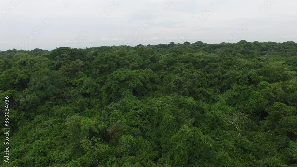 Tropical Jungle Islands Panama Drone Video Tropical Jungle Islands Panama Drone Video