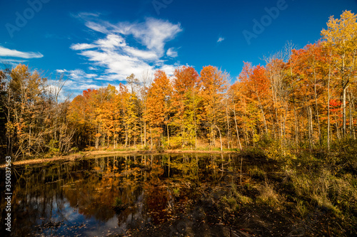 Blue skies and autumn foliage on a bright fall day near Caledon, Ontario, Canada photo