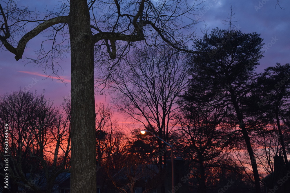 A beautiful winter sunset paints the sky A beautiful winter sunset paints the sky