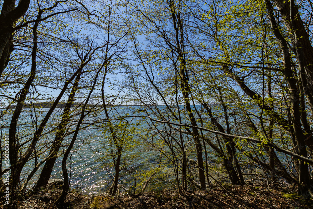 Wandern in der Goor, Lauterbach, Insel Rügen Wandern in der Goor, Lauterbach, Insel Rügen