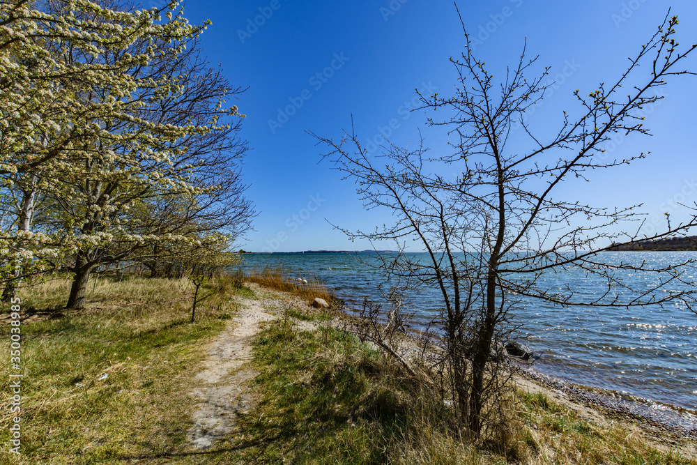 Naturstrand entlag der Goor, Lauterbach, Putbus, Rügen Naturstrand entlag der Goor, Lauterbach, Putbus, Rügen