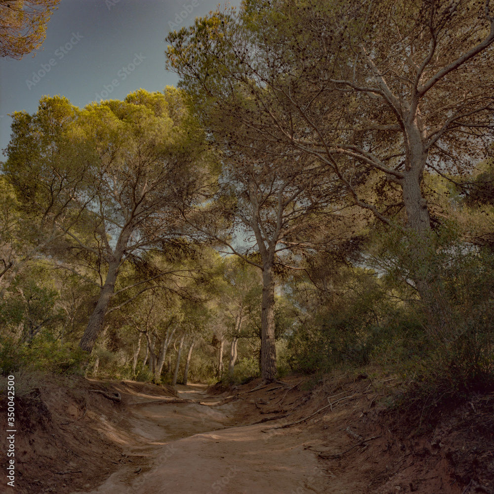 Obraz premium Menorca