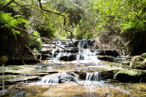 Leura Cascade in NSW Australia