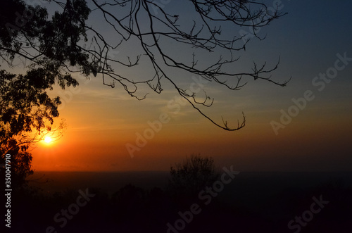 Beautiful silhouette of trees with sunset background