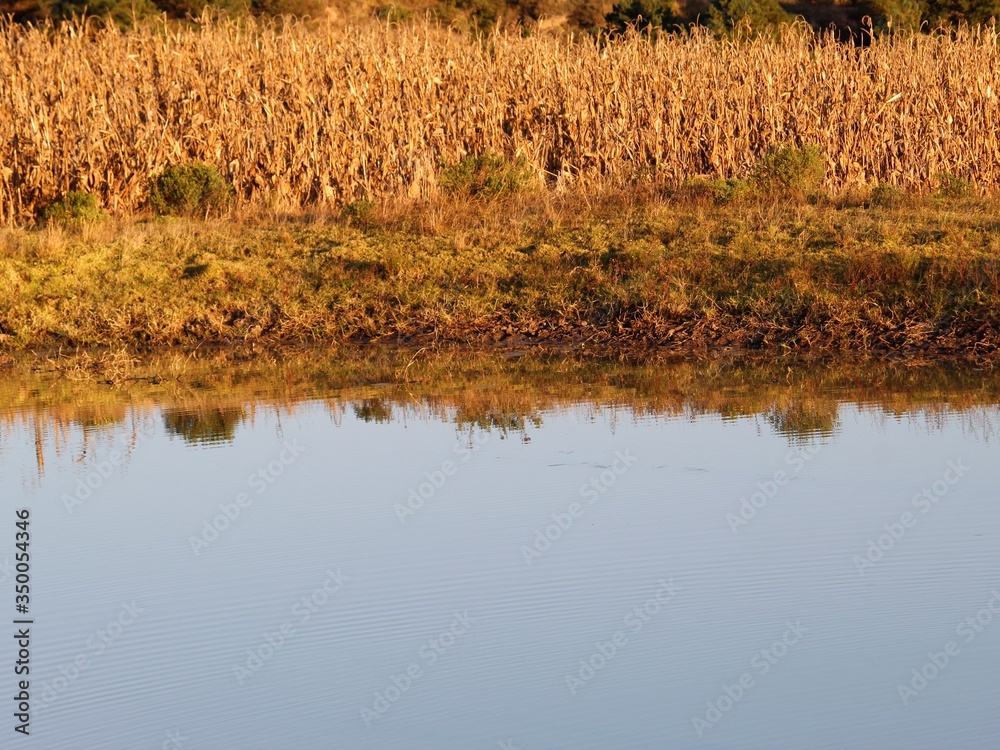 view in rural Mexico in autumn season
