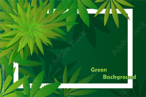 Background of green and yellow leaves of Cannabis Sativa and Indica. Medical marijuana. Simple form, for graphic design of logo, emblem, sign, badge