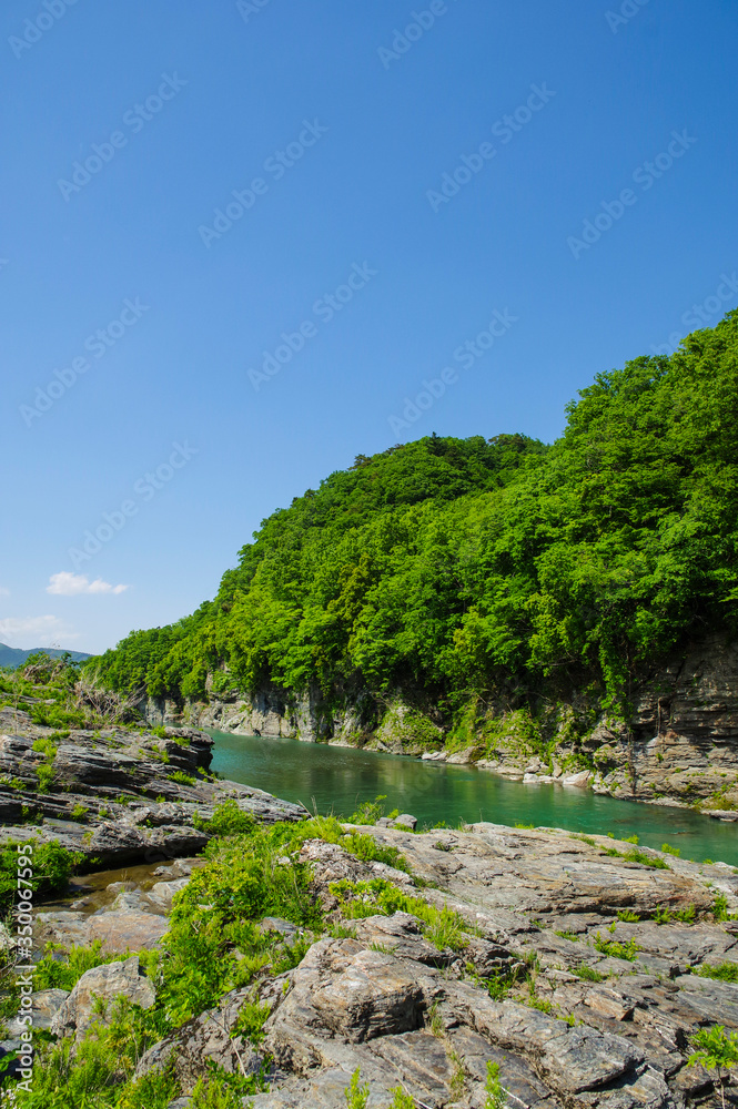 新緑の長瀞渓谷の風景 新緑の長瀞渓谷の風景