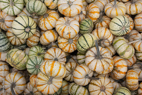 Pumpkins © Hendrika