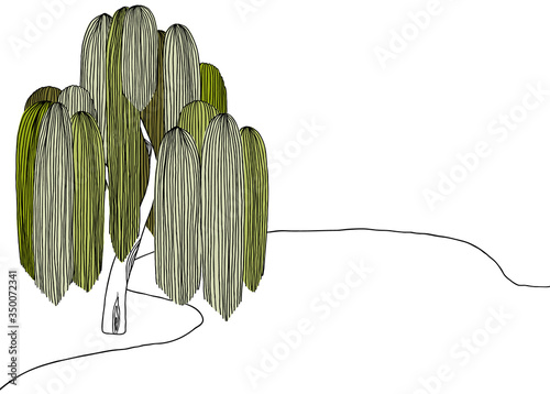 Landscape line art ink drawing, weeping willow tree beside pond