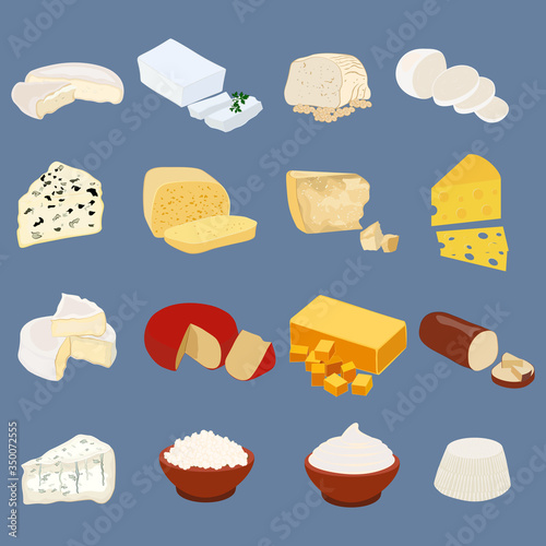Types of cheese organic dairy product vector illustration