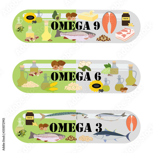 Omega 3 6 9 healthy nutrient rich food vector illustration
