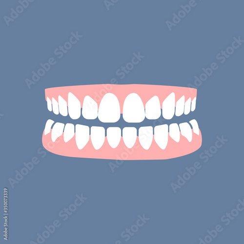 Human teeth and gums health and care vector illustration
