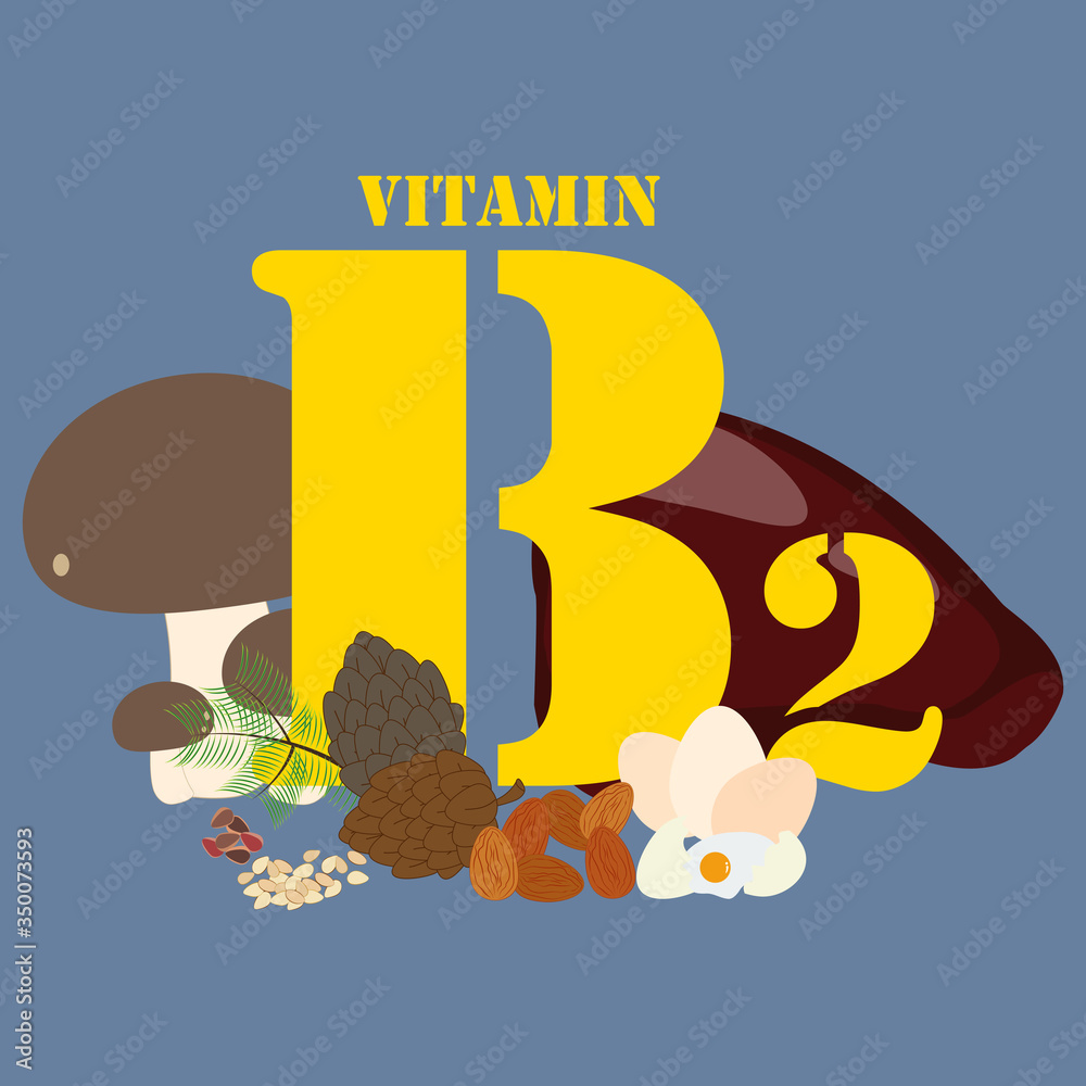 Vitamin B2 healthy nutrient rich food vector illustration Vitamin B2 healthy nutrient rich food vector illustration