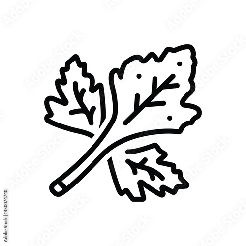 Black line icon for coriander