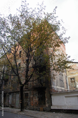 Derelict building in Kazimierz with tree
