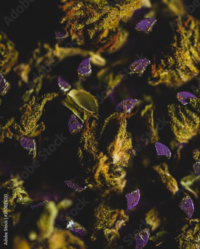 Macro close up of weed   cannabis grinder 