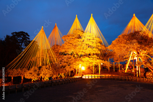 冬の兼六園