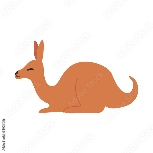 cute kangaroo animal