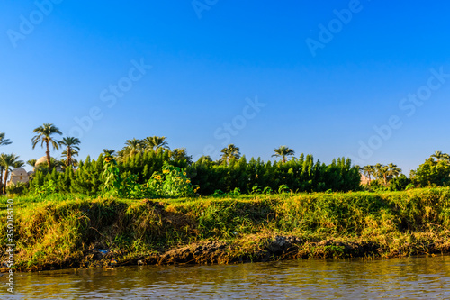 Bank of the Nile river in Luxor  Egypt