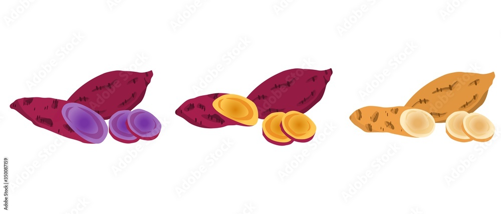 a set of potatoes, Japanese sweet potato, purple potato, cassava a set of potatoes, Japanese sweet potato, purple potato, cassava