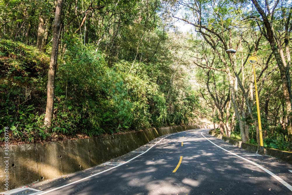 Obraz premium curval road under the tree