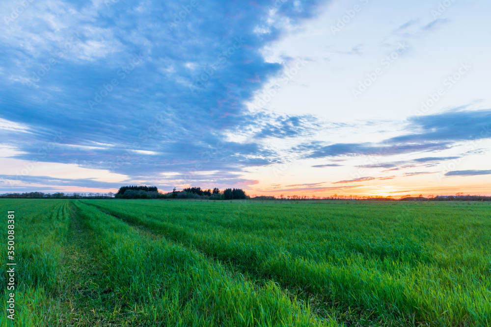 countryside landscape - farm field after sunset in spring countryside landscape - farm field after sunset in spring